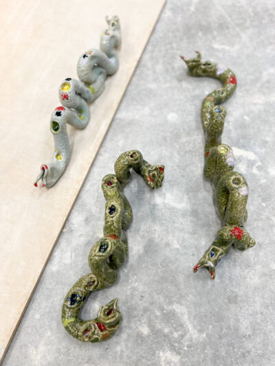 Chrysopelea Paradisi - Crowdfunding