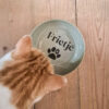 Frietje
