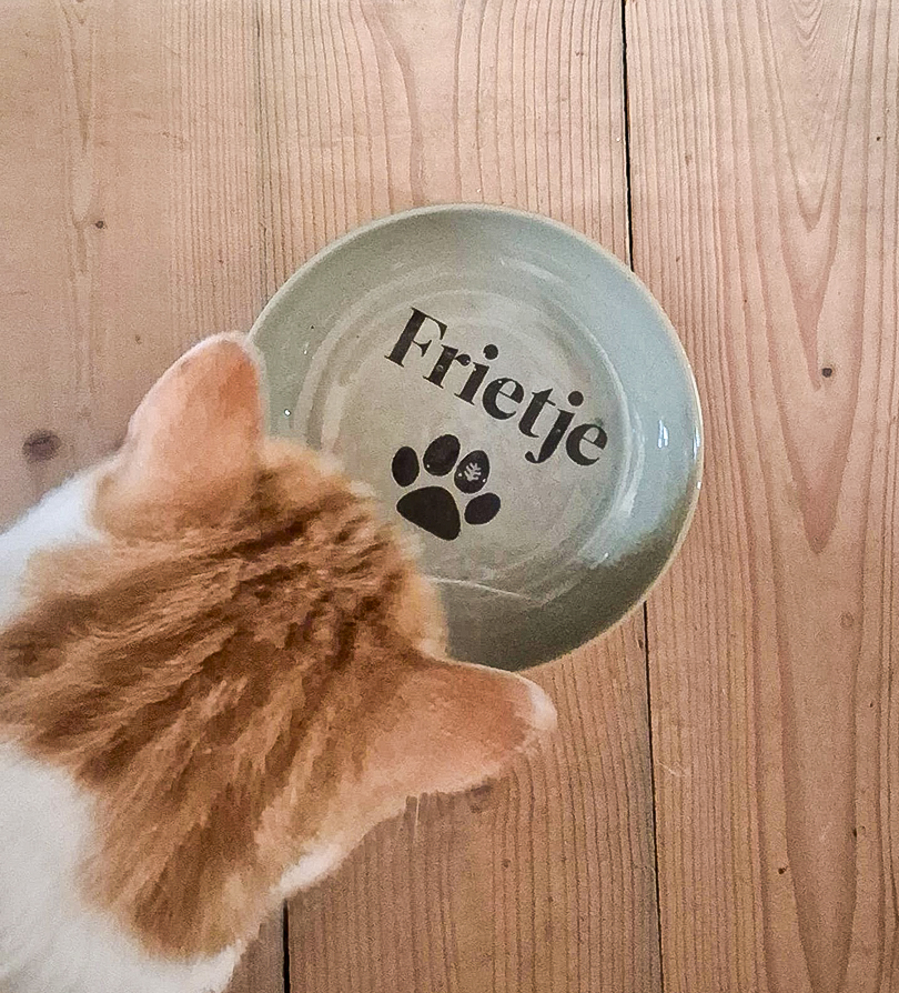 Frietje